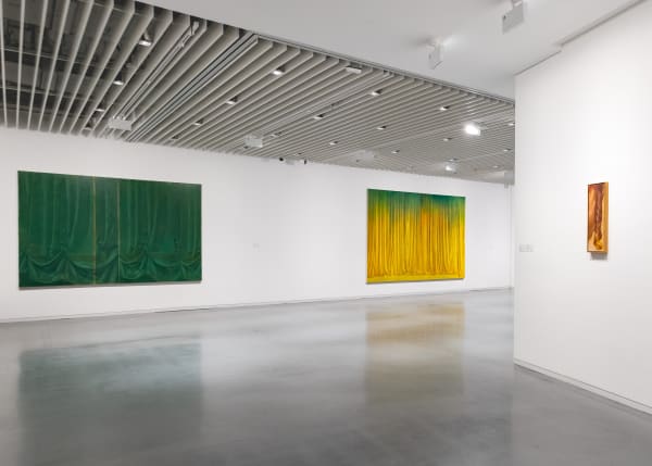 Lg Hem Installation View 04 Ig