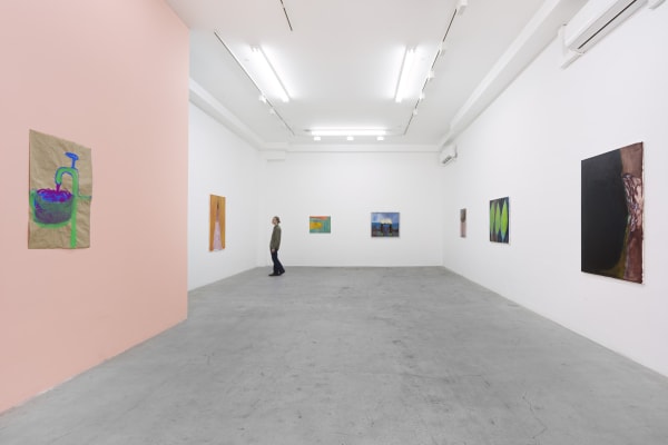 Rosalind Nashashibi Installation 3 Scale