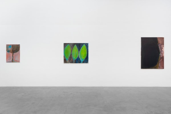 Rosalind Nashashibi Installation 7