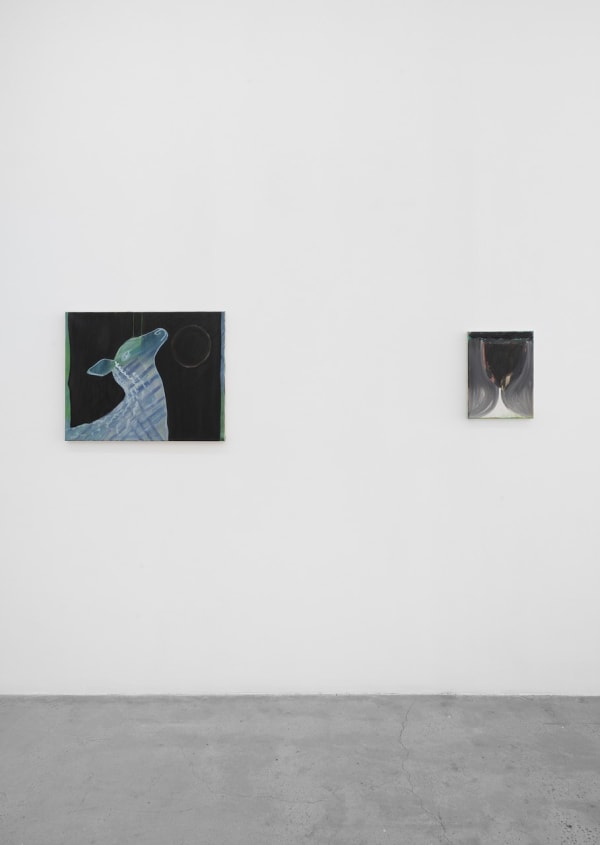 Rosalind Nashashibi Installation 8