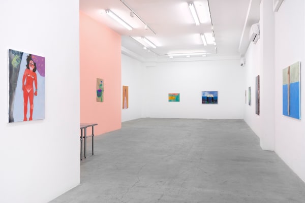 Rosalind Nashashibi Installation 9