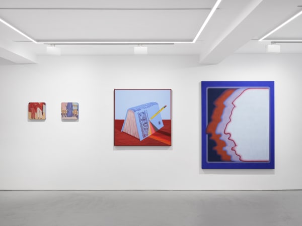 Claudia Marti Nez Garay Installation 01