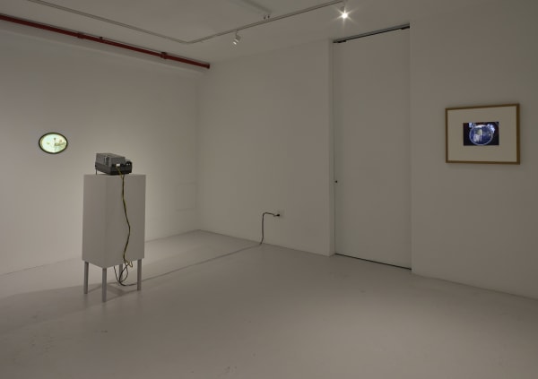 Ger Van Elk Therefore Art Is Spendid Install 8