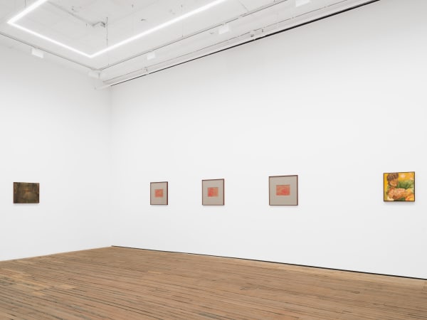 Installation View Smoulder 2025 Grimm New York Ny Us 7