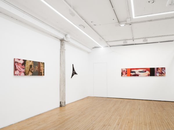 Installation View Starland Silver Sash 2025 Grimm New York Ny Us 1