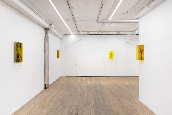 Saskia Noor Van Imhoff Grafting 2022 Instal 5