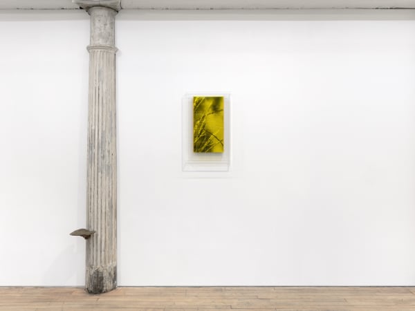 Saskia Noor Van Imhoff Grafting 2022 Instal 6