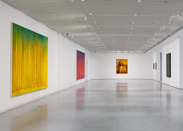 Louise Giovanelli Louise Giovanelli - Paintings 2019-2024