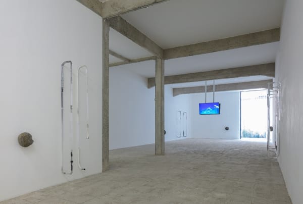 Adriano Amaral “Rurais” at Galeria Jaqueline Martins, São Paulo, 2017 Courtesy: Galeria Jaqueline Martins, São Paulo