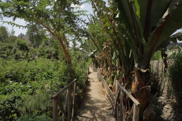 Photo by Michel Temteme, courtesy of Zoma Museum