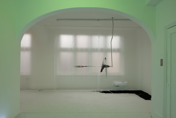 Adriano Amaral, installation view, Condo, Rodeo, London, 2019
