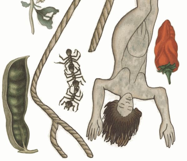 From the Andes to Amsterdam: the artist reimagining indigenous cultures
