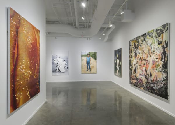 Installation view image | A Room Hung With Thoughts: British Painting Now, curated by Tom Morton | Image by Evan Sheldon, Courtesy of the Green Family Art Foundation