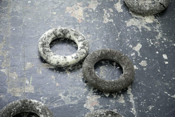 The Swamp (detail) (2014)