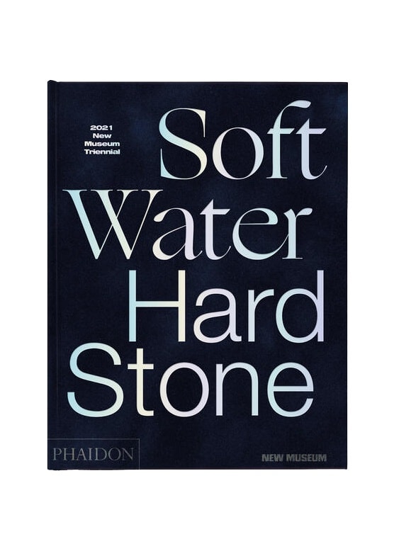 Soft Water Hard Stone - 2021 New Museum Triennial