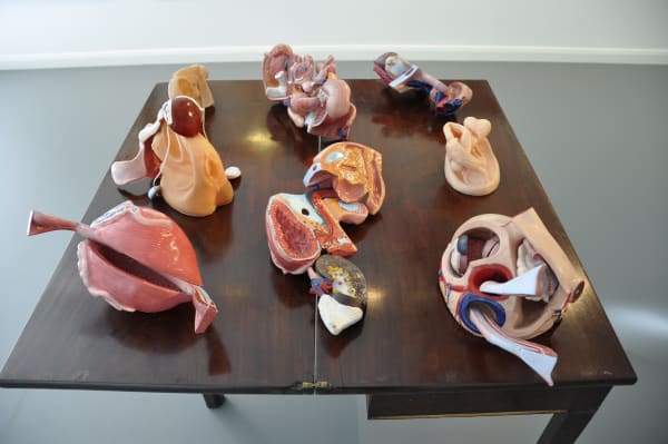 Installation shot: Bhupen Khakhar's Contemporaries, India 1960-2016