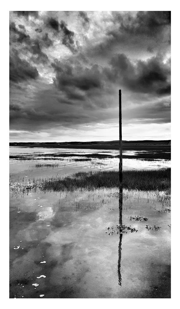 William Dalrymple, Untitled, 2016