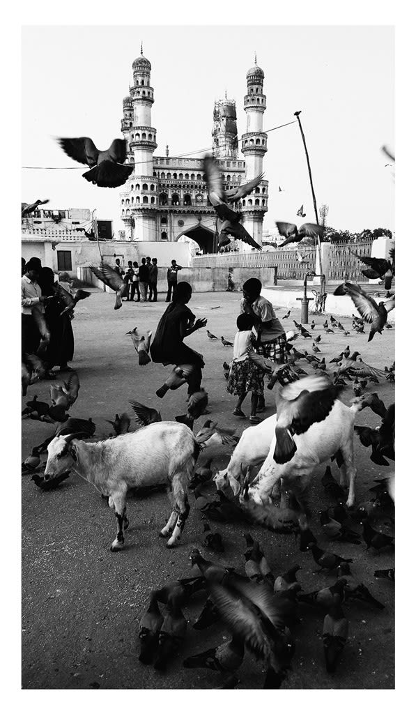 William Dalrymple, Untitled, 2016