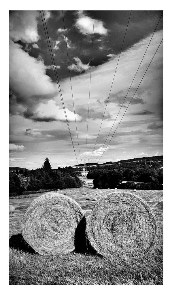 William Dalrymple, Untitled, 2016