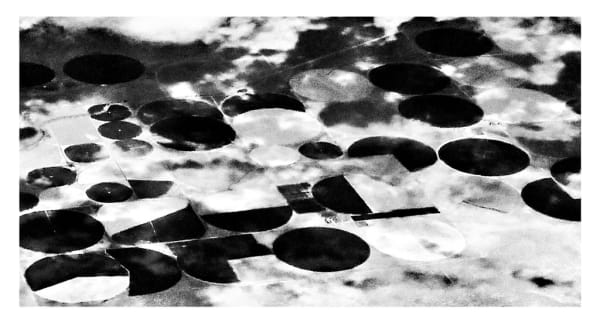 William Dalrymple, Untitled, 2016