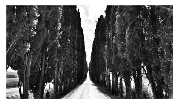 William Dalrymple, Untitled, 2016