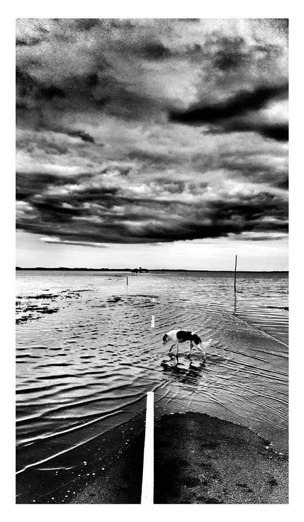 William Dalrymple, Untitled, 2016