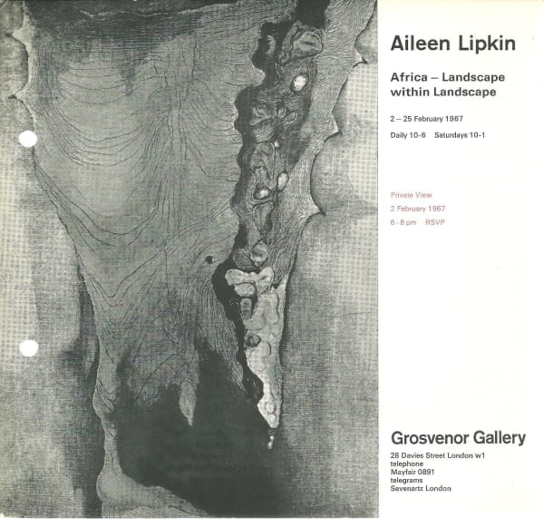 Aileen Lipkin