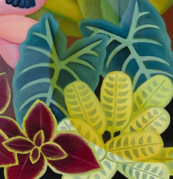 Senaka Senanayake, Splendours of the Rainforest