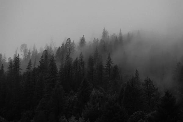 Vibrancy: Exposure and Sound
