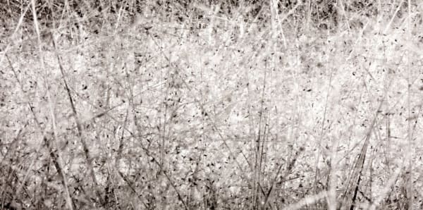 Yuming Han, Relief 18