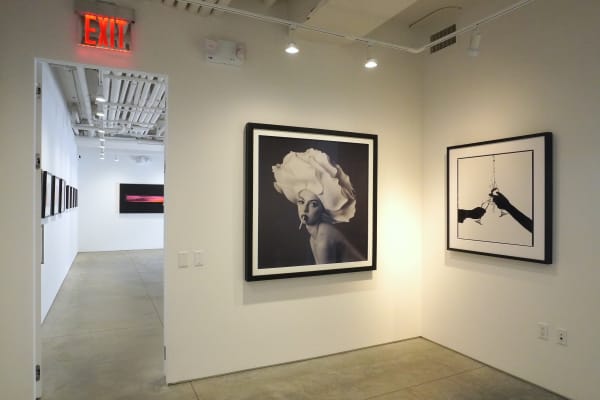 Now On View