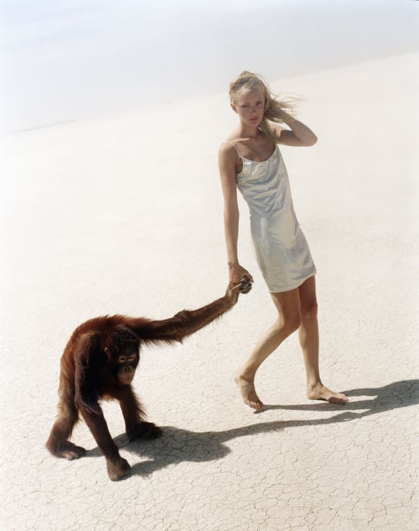 Michel Comte | Beauty and the Beast | Archival Pigment Print