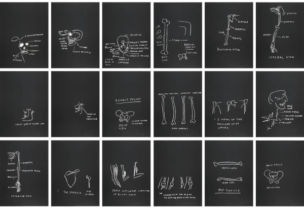 Jean-Michel Basquiat Anatomy: 18 Prints, 1982 Set of 18 screen prints plus 7 AP Edition of 1-18/2 29 5/8 x 22 in (image) (each) 73.66 x 55.88 (image) (each) 30 x 22.25 in (sheet) (each) 76.2 x 56.5 cm (sheet) (each) Signed and numbered by the artist (each)
