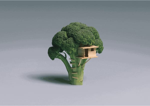 Brock Davis Broccoli Treehouse, 2011 Archival print 11 3/4 x 16 1/2 in 29.7 x 41.9 cm Edition of 100