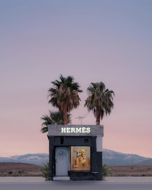 Jeffrey Czum Hermes Palms, 2022 Digital C-Print on Archival Metallic Luster Photographic Paper 18 x 24 / 30 x 40 / 36 x 48 / 39 x 52 Inches Edition of 10