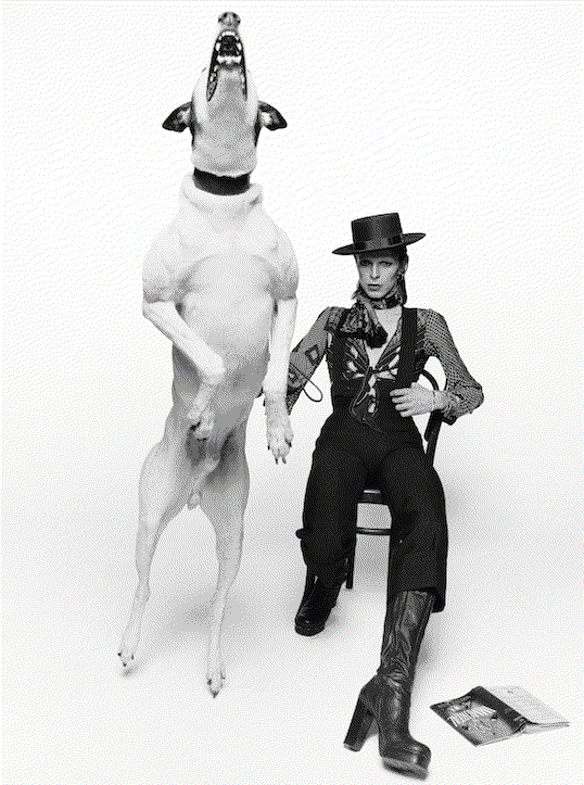 Terry O'Neill David Bowie, 1974 Gelatin Silver Print 12 x 16 Inches 24 x 34 Inches 30 x 40 Inches Lifetime Edition of 50, Signed