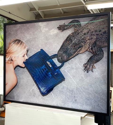 Tyler Shields Gator Birkin, 2012