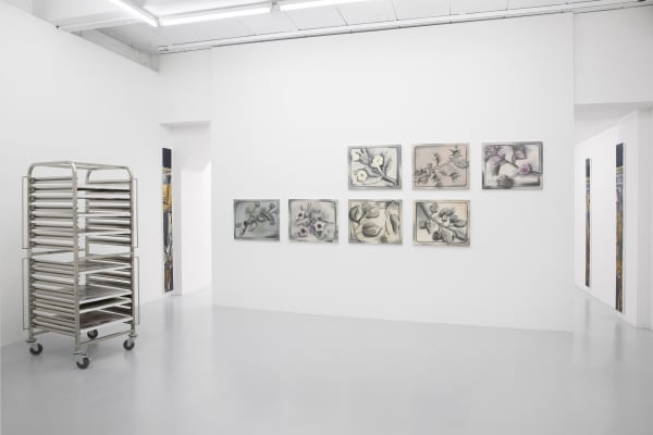 Hlp Seancrossley 0019