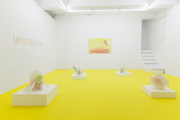 Andrea E Va Gyo Ri Chest Variations Exhibition View 2019 9