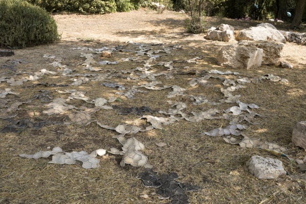 Ella Littwitz at The Jerusalem Botanical Gardens
