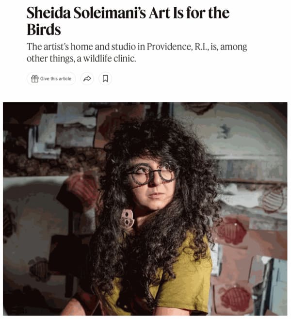 PRESS | Sheida Soleimani