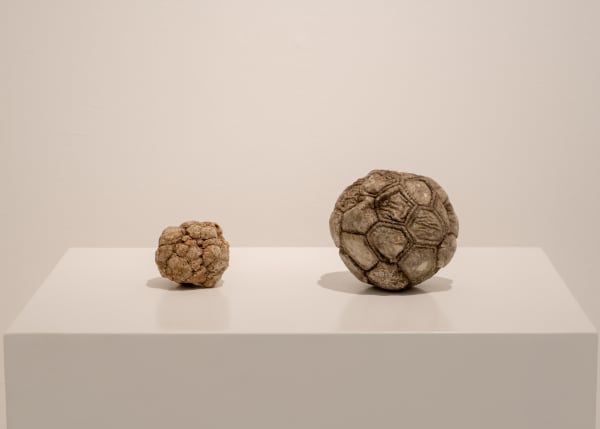 Ella Littwitz, Matter of Time, 2023, installation view Substrate, curated by Tamar Margalit, CCA Tel Aviv - Yafo, 2023. Photo credit: Daniel Hanoch