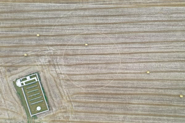 EXHIBITION | Jeroen Jongeleen