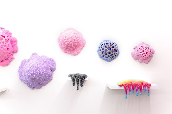 Dan Lam "Delicious Monster" installation