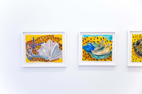 Anna Valdez "Natural Curiosity" installation