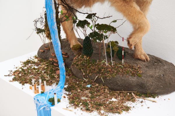 Installation image from Gregory Euclide's  "Preservation Paradox" at Hashimoto Contemporary SF