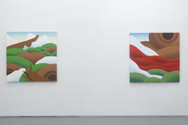 Installation view of Bianca Nemelc solo exhibition at Hashimoto Contemporary NYC