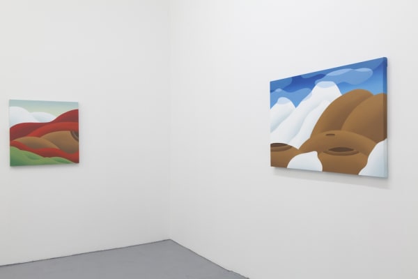 Installation view of Bianca Nemelc solo exhibition at Hashimoto Contemporary NYC