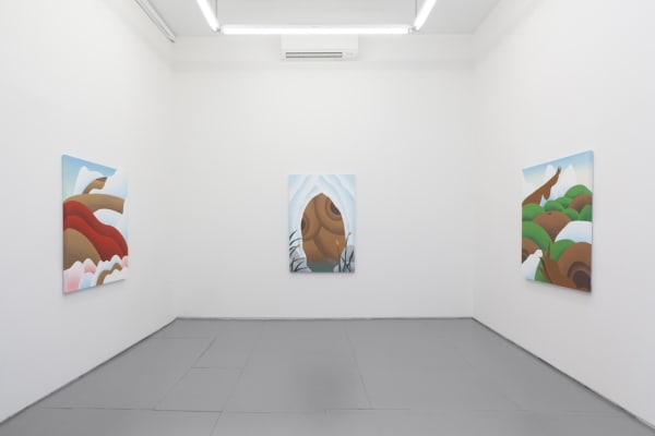 Installation view of Bianca Nemelc solo exhibition at Hashimoto Contemporary NYC