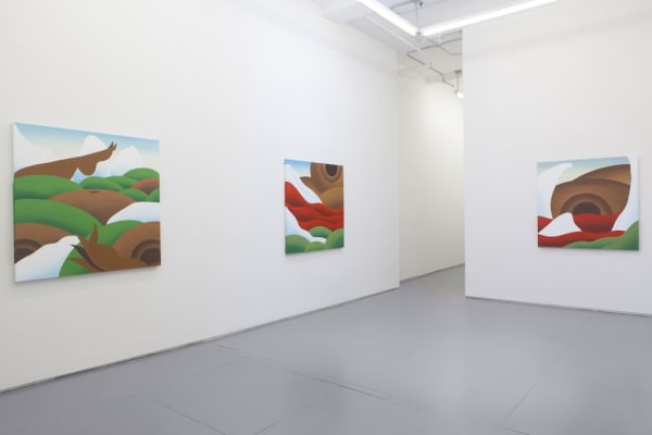 Installation view of Bianca Nemelc solo exhibition at Hashimoto Contemporary NYC
